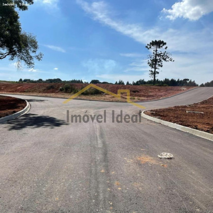 Imagem Terreno à Venda, 230 m² em Costeira - Araucária