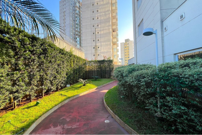 Imagem Apartamento com 2 Quartos à Venda, 46 m² em Cambuci - São Paulo Imagem Apartamento com 2 Quartos à Venda, 46 m² em Cambuci - São Paulo