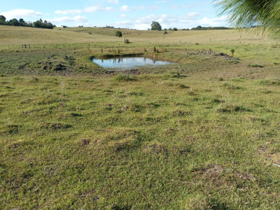 Imagem Chácara à Venda, 60.000 m² em Capão Da Porteira - Viamão Imagem Chácara à Venda, 60.000 m² em Capão Da Porteira - Viamão