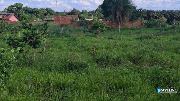 Imagem Casa com 1 Quarto à Venda, 3.100 m² em Pioneiros - Campo Grande Imagem Casa com 1 Quarto à Venda, 3.100 m² em Pioneiros - Campo Grande