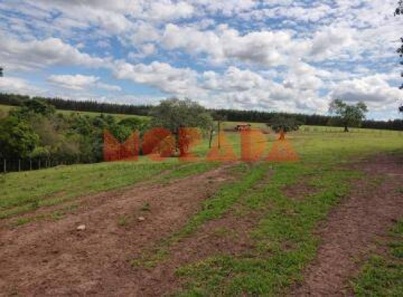Fazenda à Venda, 2.700 m² em Zona Rural - Morpará