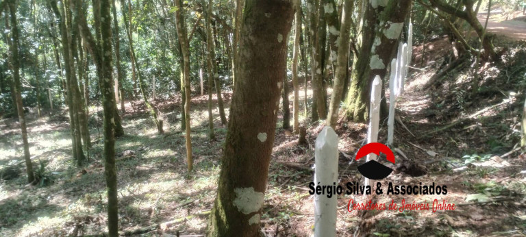 Imagem Terreno à Venda, 1 m² em Vila Natal - Campos Do Jordão