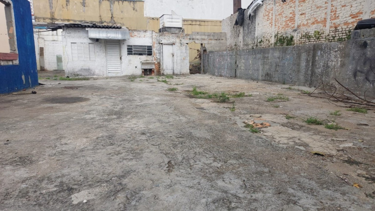 Terreno para Alugar, 220 m² em Vila São Luís(zona Oeste) - São Paulo