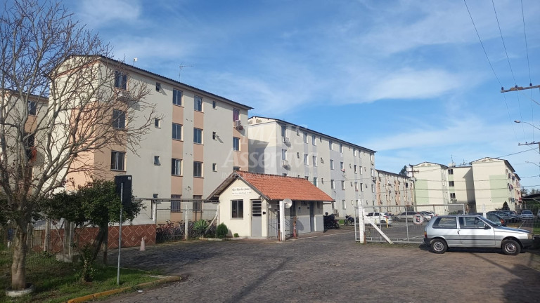 Apartamento com 2 Quartos à Venda, 38 m² em Rio Dos Sinos - São Leopoldo