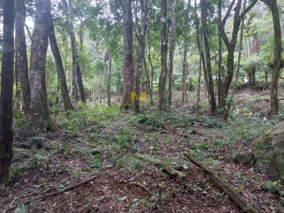 Imagem Chácara à Venda, em Recreio Da Serra - Piraquara Imagem Chácara à Venda, em Recreio Da Serra - Piraquara