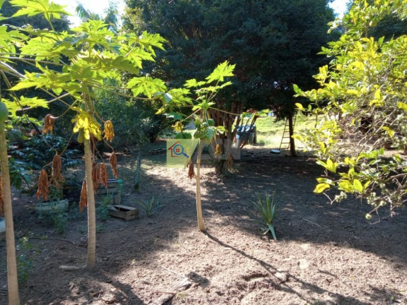 Imagem Imóvel com 3 Quartos à Venda, 100 m² em Chácaras Meu Cantinho - Monte Mor