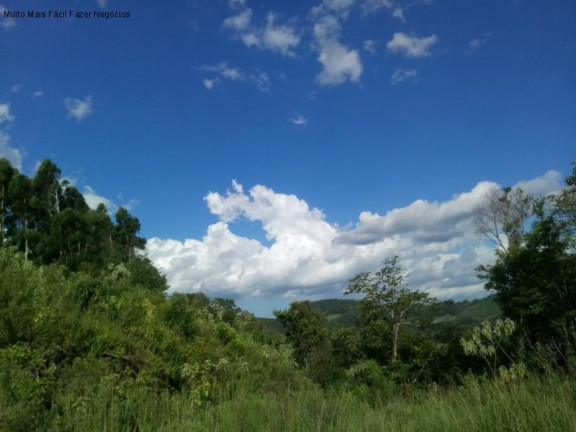 Imagem Terreno à Venda, 3 m² em Fazenda Pirajá - Nova Petrópolis