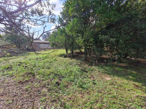 Imagem Chácara com 3 Quartos à Venda, 4.840 m² em Centro - Passo Do Sobrado Imagem Chácara com 3 Quartos à Venda, 4.840 m² em Centro - Passo Do Sobrado