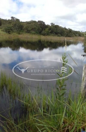 Fazenda à Venda, 2.808 m² em Zona Rural - Mineiros