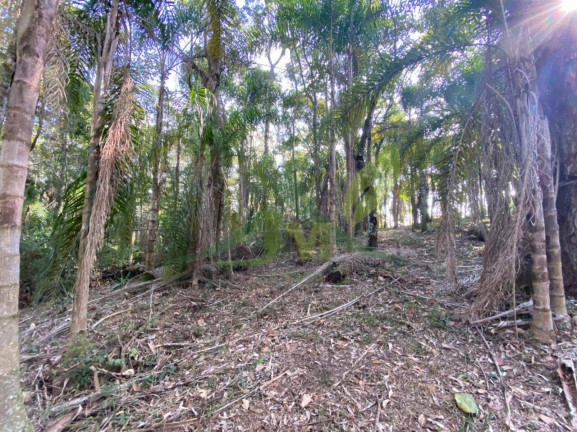 Imagem Terreno em Condomínio à Venda, 3.000 m² em Portão - Atibaia Imagem Terreno em Condomínio à Venda, 3.000 m² em Portão - Atibaia