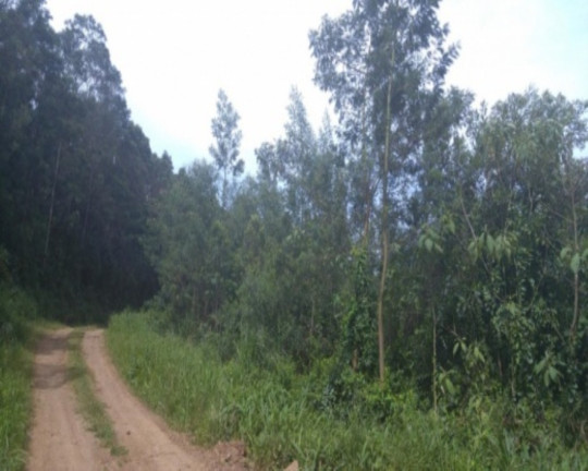 Imagem Terreno à Venda, 3 m² em Morro Da Fome - Nova Petrópolis Imagem Terreno à Venda, 3 m² em Morro Da Fome - Nova Petrópolis