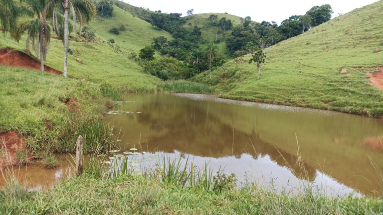 Imagem Fazenda à Venda, 300 m² em Bairro Da Pernambucana - São José Dos Campos