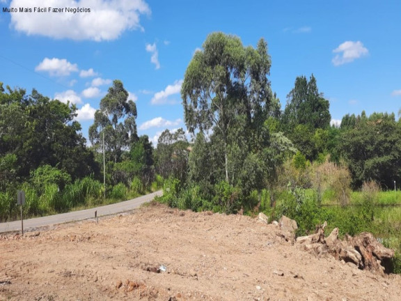 Imagem Terreno à Venda, 494 m² em Linha Olinda - Nova Petrópolis