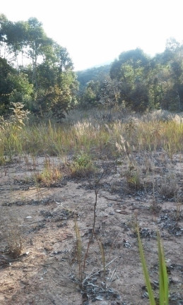 Imagem Terreno à Venda, 34 m² em Terra Preta - Mairiporã Imagem Terreno à Venda, 34 m² em Terra Preta - Mairiporã
