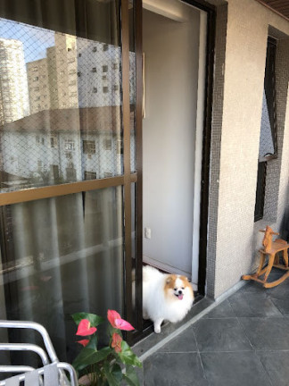 Imagem Apartamento com 3 Quartos à Venda, 150 m² em Embaré - Santos