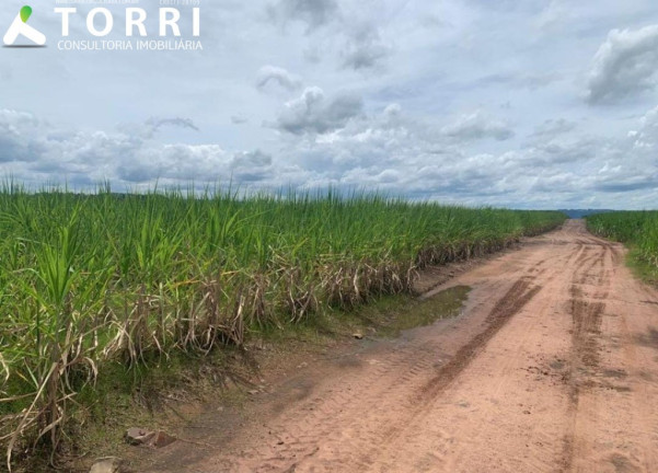 Imagem Imóvel com 5 Quartos à Venda, 9.430.740 m² em Centro - Santa Maria Da Serra Imagem Imóvel com 5 Quartos à Venda, 9.430.740 m² em Centro - Santa Maria Da Serra