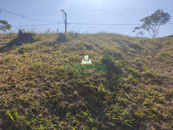 Imagem Terreno à Venda, 1.000 m² em Centro - Jambeiro