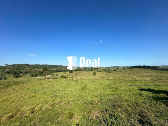 Imagem Fazenda à Venda, 1.300.000 m² em Centro - Mata De São João Imagem Fazenda à Venda, 1.300.000 m² em Centro - Mata De São João