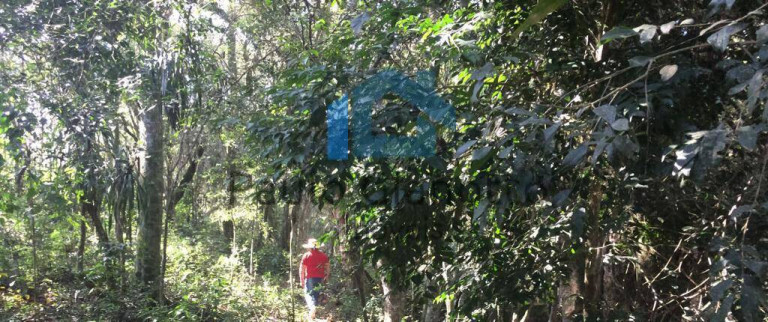 Imagem Terreno à Venda, 1.300 m² em Centro - Ibiúna Imagem Terreno à Venda, 1.300 m² em Centro - Ibiúna