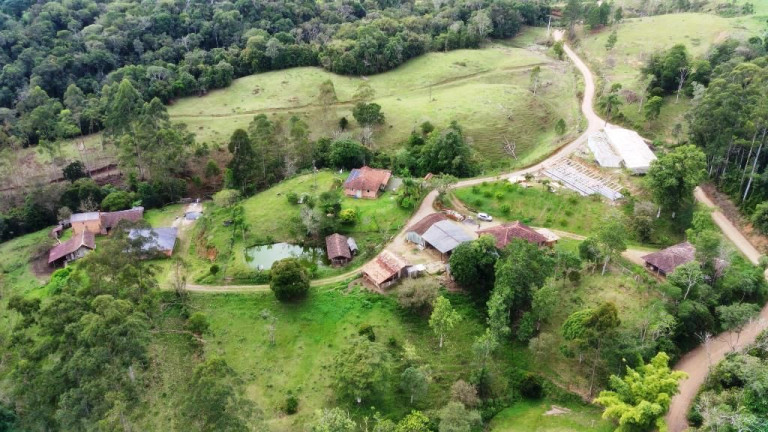 Imagem Imóvel com 6 Quartos à Venda, 250.000 m² em Zona Rural - Apiúna