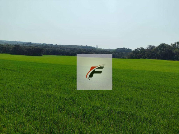 Imagem Fazenda à Venda, 847.000 m² em Centro - Lapa Imagem Fazenda à Venda, 847.000 m² em Centro - Lapa