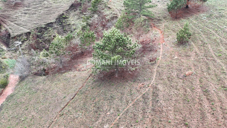 Imagem Terreno à Venda, 1.800 m² em Região De Descansópolis - Campos Do Jordão Imagem Terreno à Venda, 1.800 m² em Região De Descansópolis - Campos Do Jordão