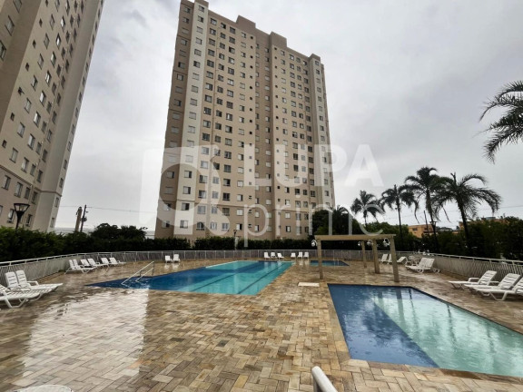 Imagem Apartamento com 2 Quartos para Alugar, 45 m² em Ponte Grande - Guarulhos Imagem Apartamento com 2 Quartos para Alugar, 45 m² em Ponte Grande - Guarulhos