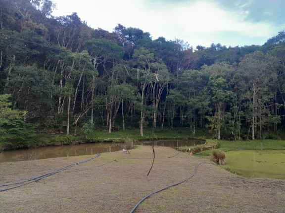 Imagem Imóvel com 3 Quartos à Venda, 72.000 m² em Centro - Tunas Do Parana