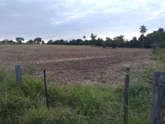 Imagem Chácara à Venda, 36 m² em Itarassú - Capela Do Alto