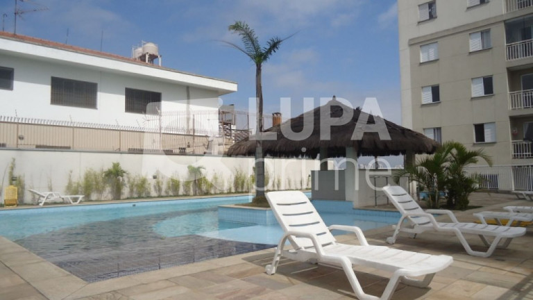 Imagem Apartamento com 2 Quartos à Venda, 52 m² em Vila Maria - São Paulo Imagem Apartamento com 2 Quartos à Venda, 52 m² em Vila Maria - São Paulo