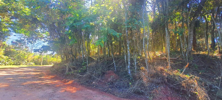 Imagem Imóvel à Venda, 700 m² em Recanto Dos Palmares - Atibaia