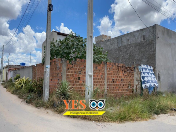 Imagem Terreno à Venda, 300 m² em Papagaio - Feira De Santana Imagem Terreno à Venda, 300 m² em Papagaio - Feira De Santana
