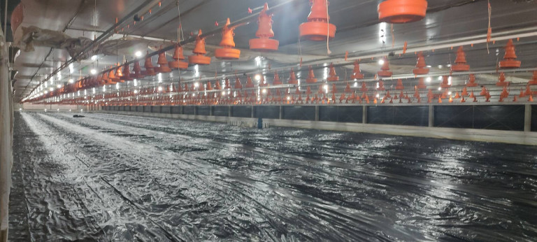 Imagem Chácara com 3 Quartos à Venda, 774 m² em Zona Rural - Alambari