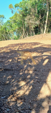 Terreno à Venda,  em Tamborete - Imaruí