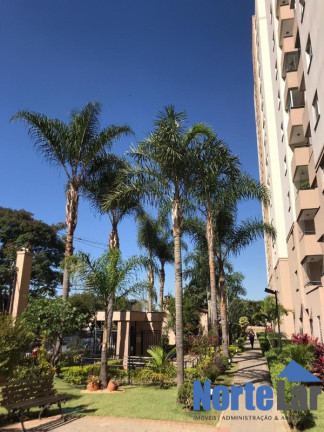 Imagem Apartamento com 2 Quartos à Venda, 48 m² em Vila Roque - São Paulo