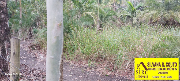 Imagem Terreno à Venda, 25 m² em Chácaras De Inoã (inoã) - Maricá Imagem Terreno à Venda, 25 m² em Chácaras De Inoã (inoã) - Maricá