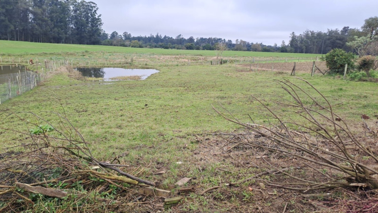 Imagem Chácara com 2 Quartos à Venda, 2.000 m² em Cipriano De Oliveira - Vera Cruz Imagem Chácara com 2 Quartos à Venda, 2.000 m² em Cipriano De Oliveira - Vera Cruz