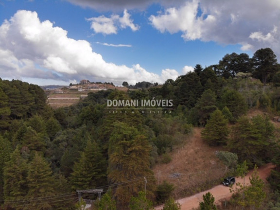 Imóvel à Venda, 10.050 m² em Região De Descansópolis - Campos Do Jordão