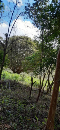 Imóvel com 1 Quarto à Venda, 372.300 m² em Quatinga - Mogi Das Cruzes