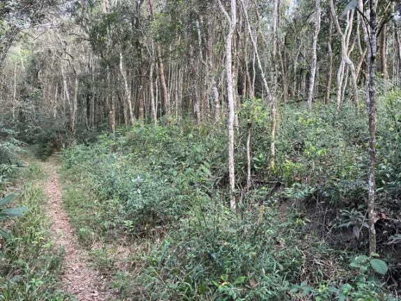 Imagem Terreno à Venda, 1.000 m² em Jardim ísis - Cotia Imagem Terreno à Venda, 1.000 m² em Jardim ísis - Cotia
