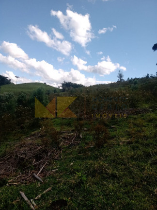 Imagem Fazenda à Venda, 59.000 m² em Alto Cedros - Rio Dos Cedros