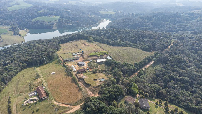 Imagem Imóvel com 1 Quarto à Venda, 22.000 m² em Vila David Antônio - Campo Largo