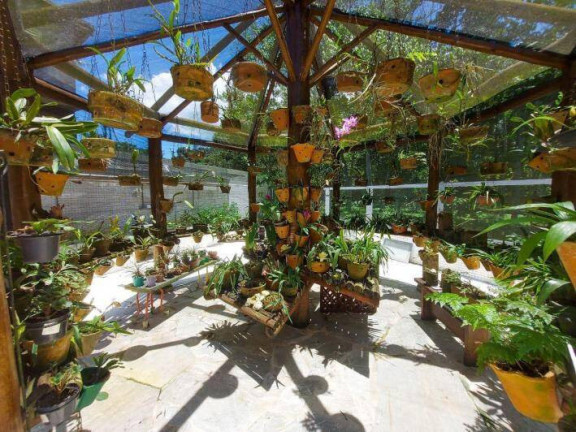 Imagem Casa com 4 Quartos à Venda, 340 m² em Horto Florestal - Ubatuba