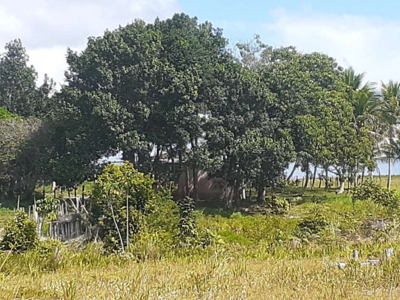 Imagem Imóvel Comercial à Venda, 774.400 m² em Mogiquiçaba - Belmonte Imagem Imóvel Comercial à Venda, 774.400 m² em Mogiquiçaba - Belmonte