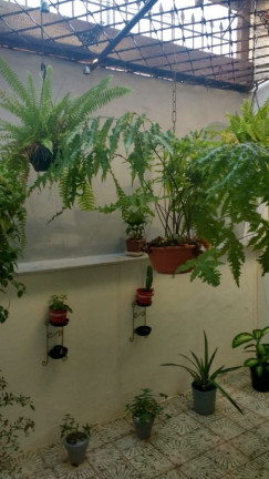Imagem Imóvel com 3 Quartos à Venda, 146 m² em Higienópolis - Piracicaba Imagem Imóvel com 3 Quartos à Venda, 146 m² em Higienópolis - Piracicaba