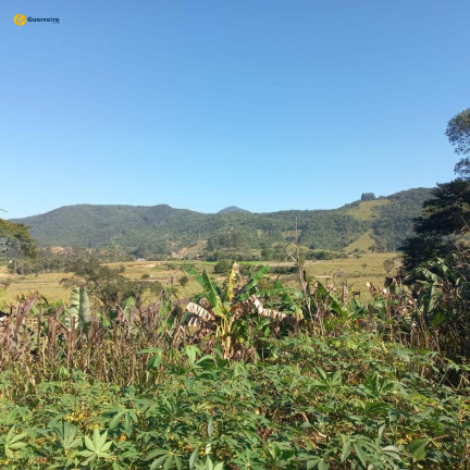 Imagem Fazenda à Venda, 11.440 m² em Centro - Paulo Lopes