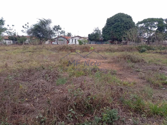 Imagem Terreno à Venda, 250 m² em Jardim Margarida - Pirassununga Imagem Terreno à Venda, 250 m² em Jardim Margarida - Pirassununga