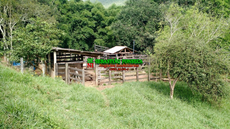 Imagem Fazenda à Venda, 46 m² em Zona Rural De Paraibuna - Paraibuna Imagem Fazenda à Venda, 46 m² em Zona Rural De Paraibuna - Paraibuna