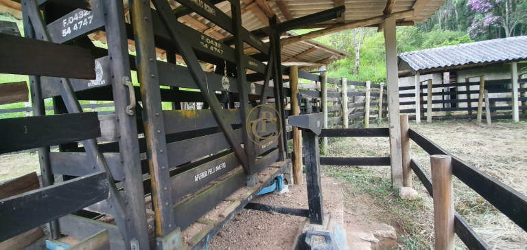 Imagem Fazenda à Venda, 400 m² em Pouso Altinho - Natividade Da Serra Imagem Fazenda à Venda, 400 m² em Pouso Altinho - Natividade Da Serra