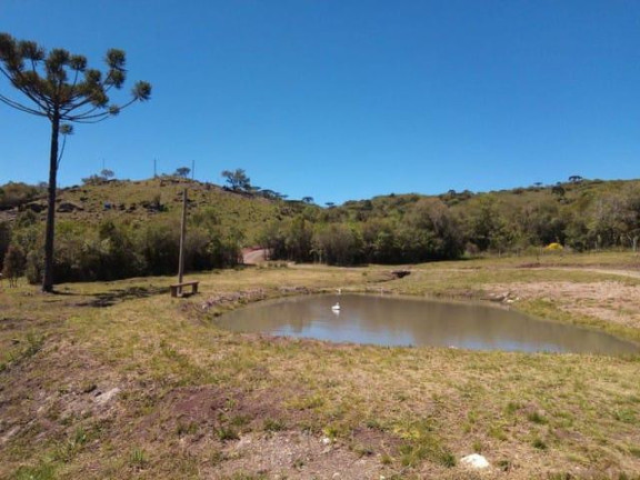 Imagem Imóvel com 1 Quarto à Venda, 20.000 m² em Criúva - Caxias Do Sul